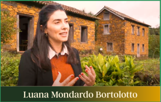 Participantes - 06